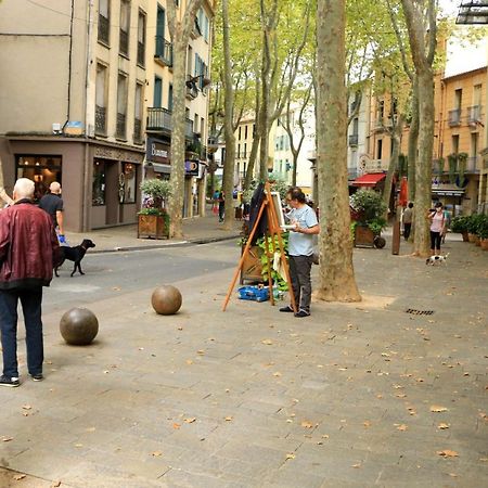 La Cigogne Διαμέρισμα Céret Εξωτερικό φωτογραφία