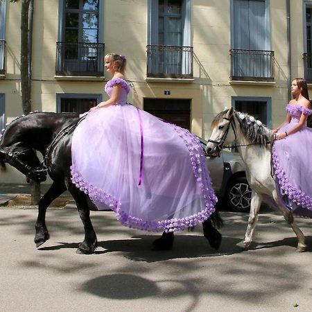 La Cigogne Διαμέρισμα Céret Εξωτερικό φωτογραφία