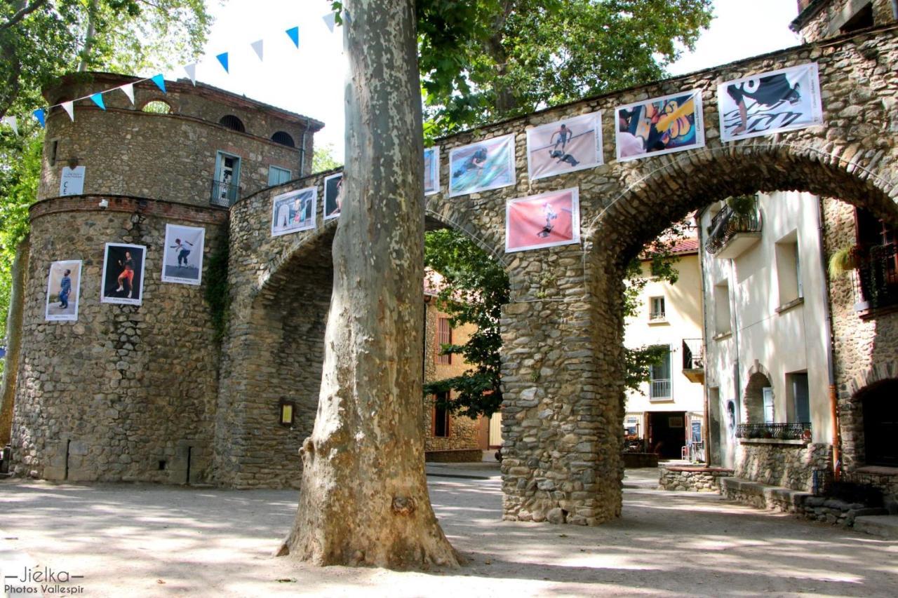 La Cigogne Διαμέρισμα Céret Εξωτερικό φωτογραφία