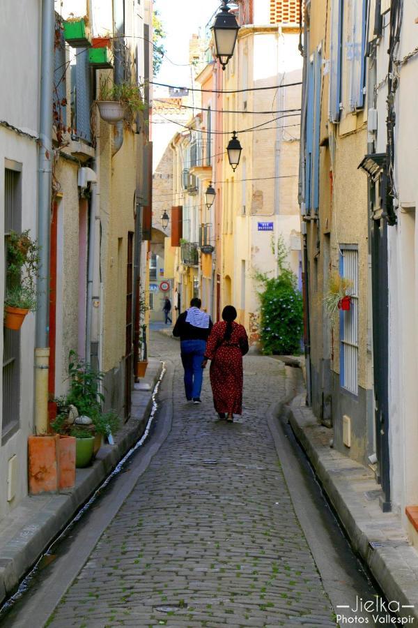 La Cigogne Διαμέρισμα Céret Εξωτερικό φωτογραφία