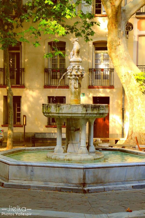 La Cigogne Διαμέρισμα Céret Εξωτερικό φωτογραφία