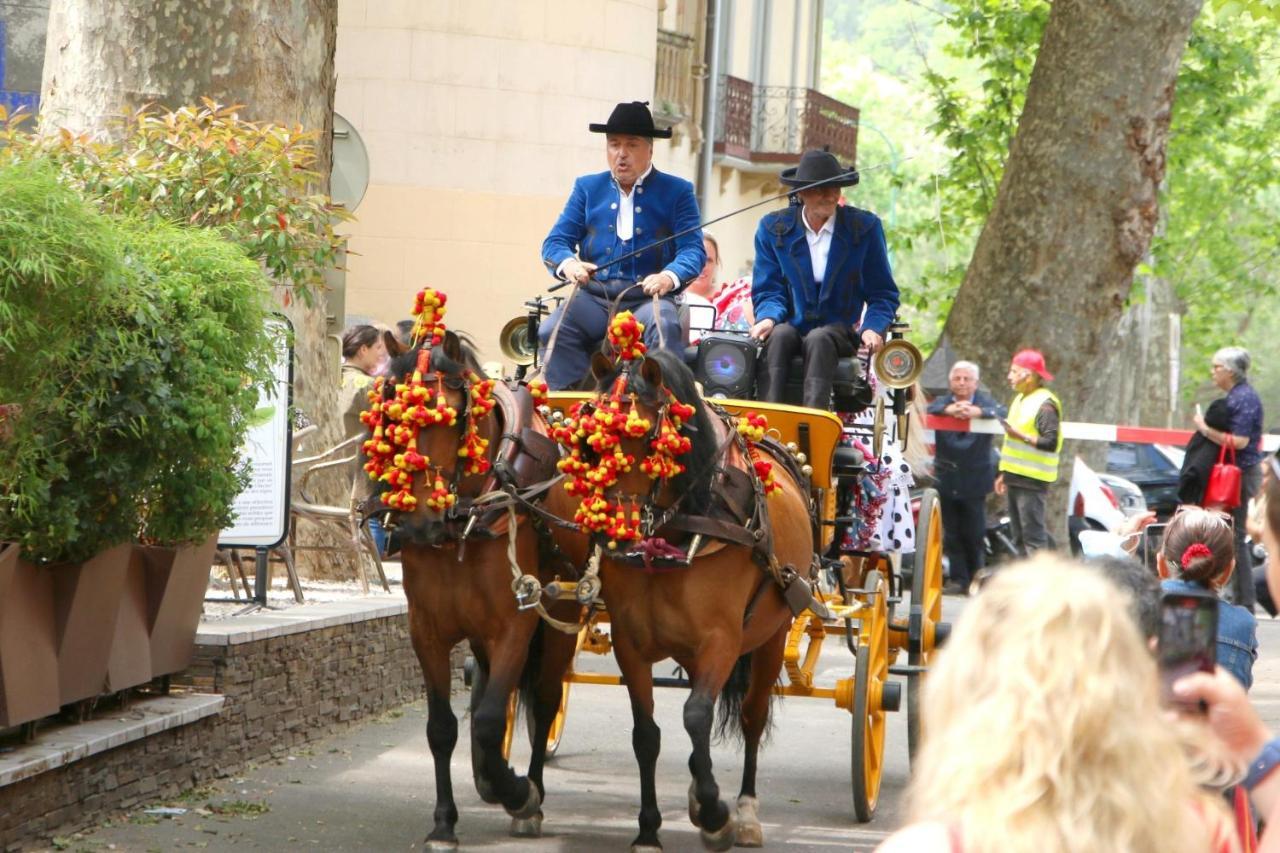 La Cigogne Διαμέρισμα Céret Εξωτερικό φωτογραφία