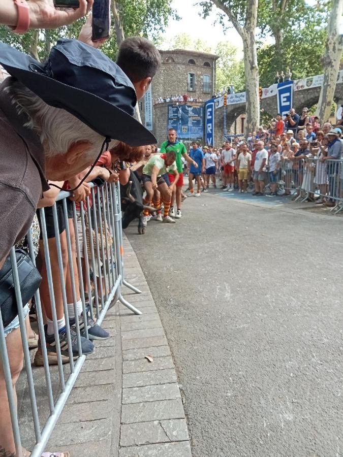 La Cigogne Διαμέρισμα Céret Εξωτερικό φωτογραφία