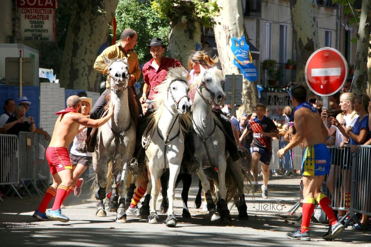 La Cigogne Διαμέρισμα Céret Εξωτερικό φωτογραφία