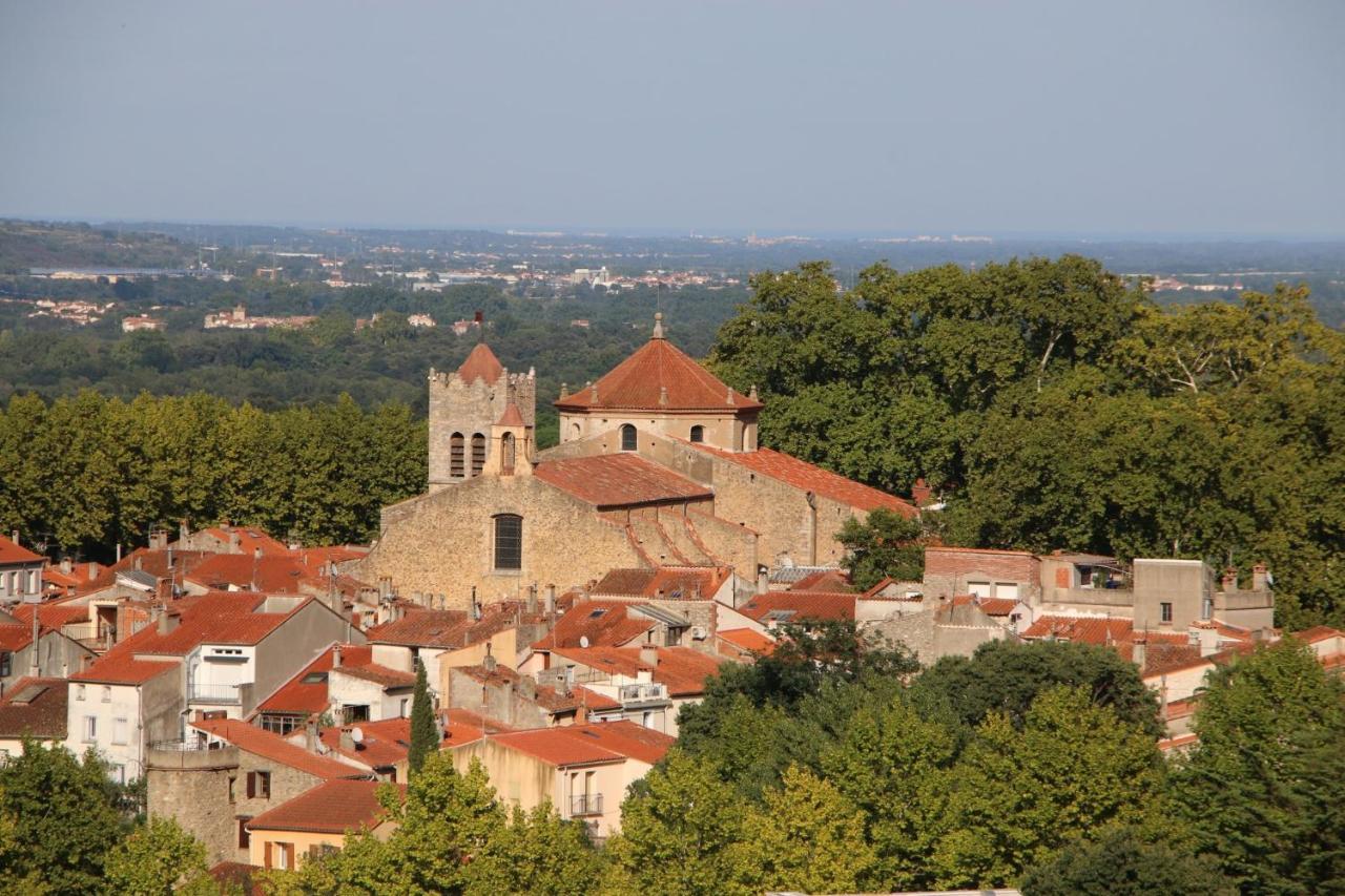 La Cigogne Διαμέρισμα Céret Εξωτερικό φωτογραφία