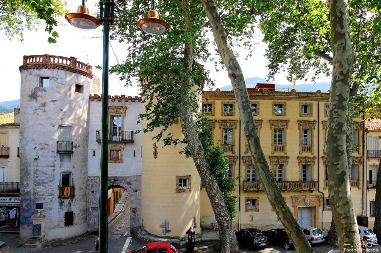 La Cigogne Διαμέρισμα Céret Εξωτερικό φωτογραφία