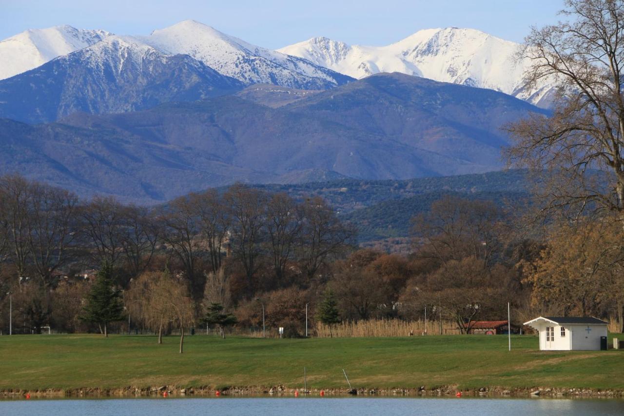 La Cigogne Διαμέρισμα Céret Εξωτερικό φωτογραφία