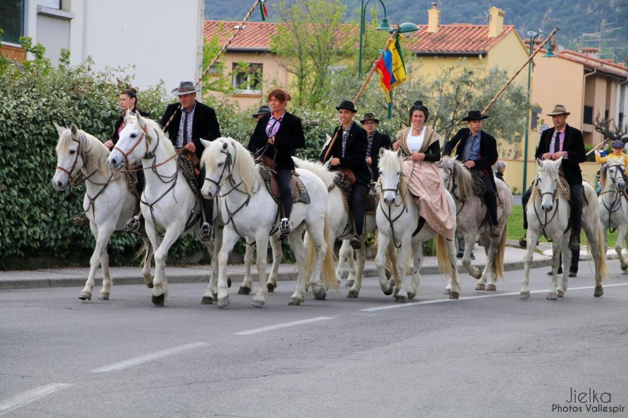 La Cigogne Διαμέρισμα Céret Εξωτερικό φωτογραφία